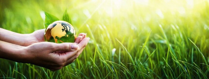 Zoe Binning Ltd | 7 reasons why making your wedding venue business more sustaiabnle makes good business sense | our planet